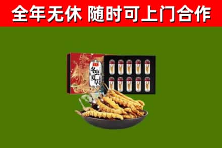盐津回收冬虫夏草价格